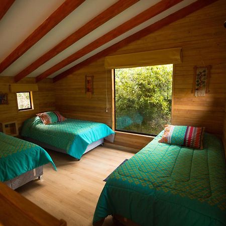 Parque Natural Rio Bravo Lodge กัสโตร ภายนอก รูปภาพ