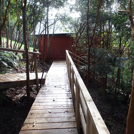 Parque Natural Rio Bravo Lodge กัสโตร ภายนอก รูปภาพ