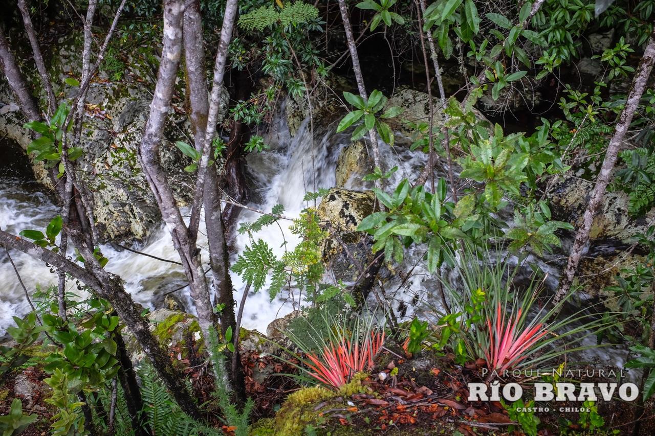Parque Natural Rio Bravo Lodge กัสโตร ภายนอก รูปภาพ