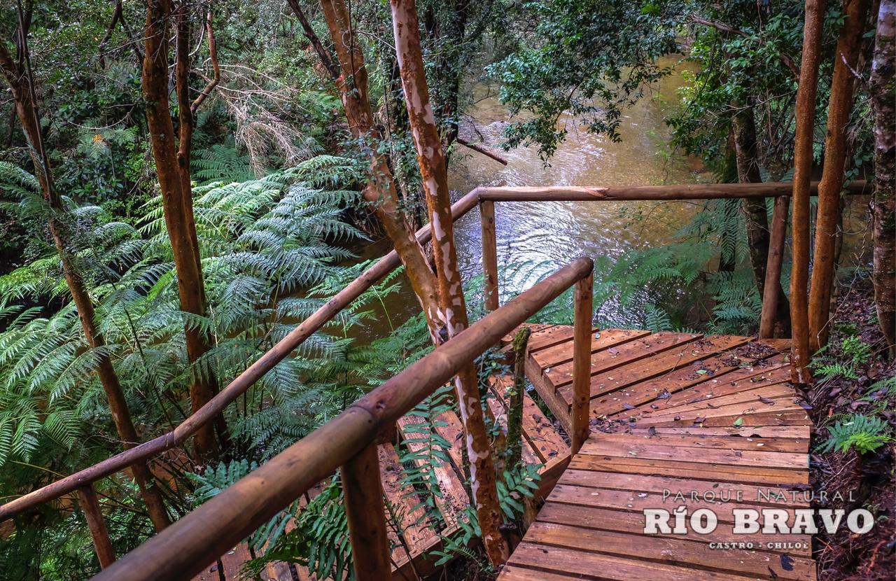 Parque Natural Rio Bravo Lodge กัสโตร ภายนอก รูปภาพ