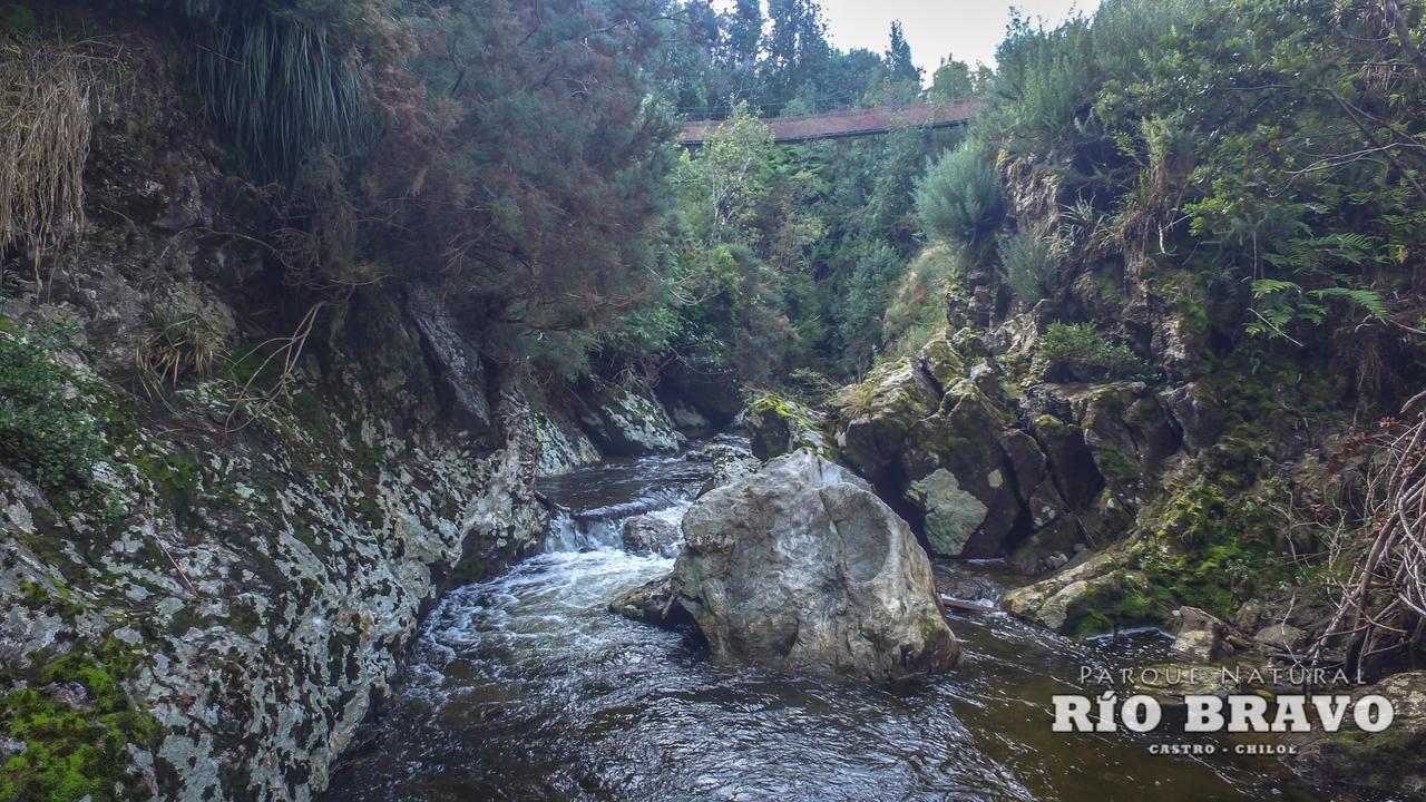 Parque Natural Rio Bravo Lodge กัสโตร ภายนอก รูปภาพ