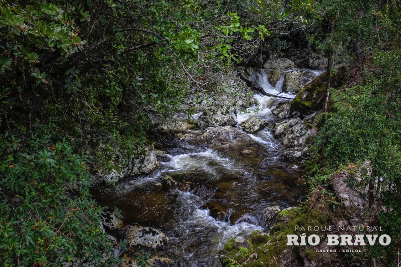 Parque Natural Rio Bravo Lodge กัสโตร ห้อง รูปภาพ