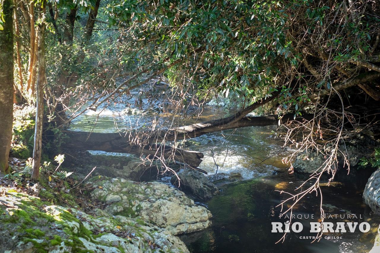 Parque Natural Rio Bravo Lodge กัสโตร ภายนอก รูปภาพ